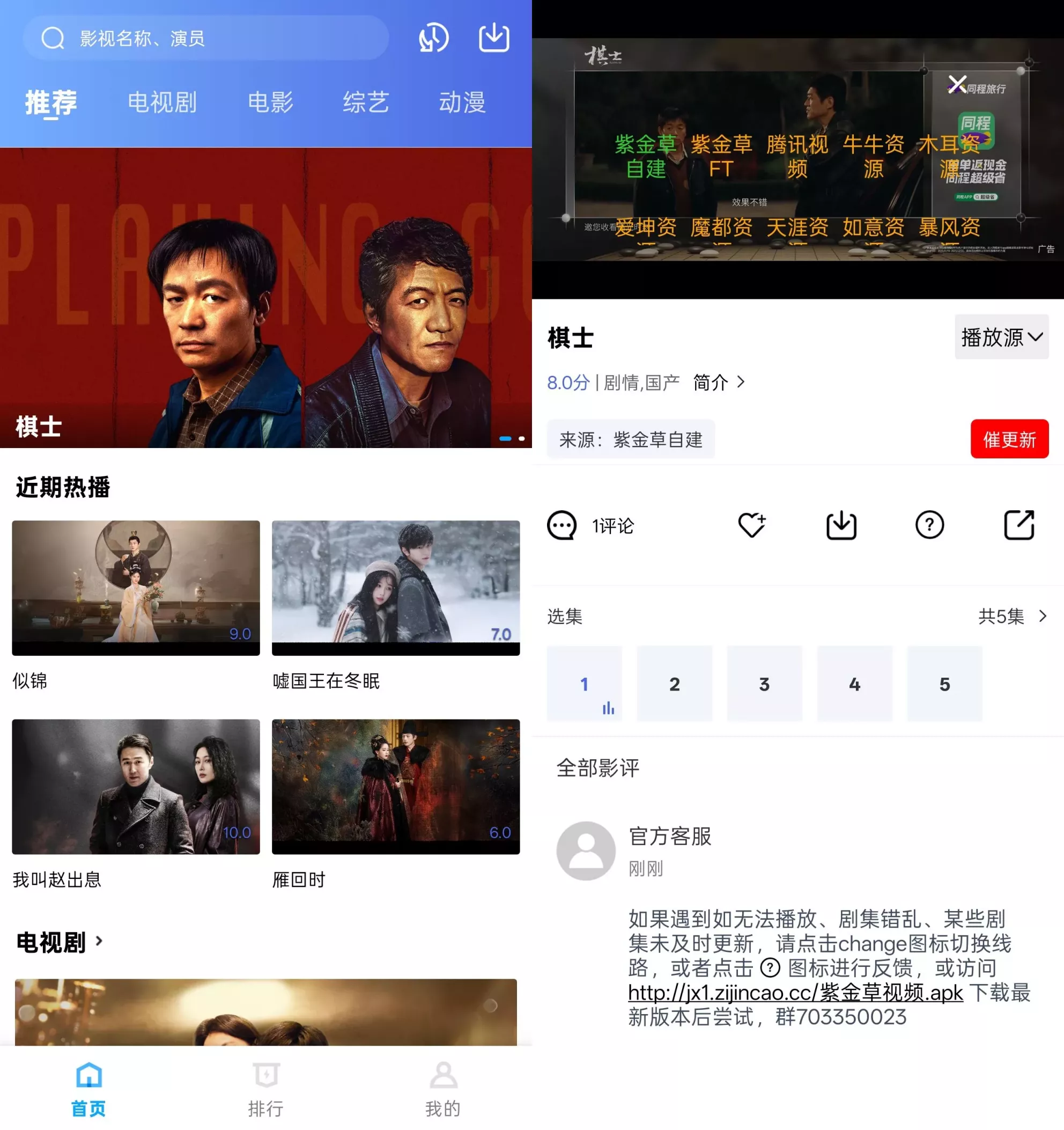 紫金草视频 紫金草视频