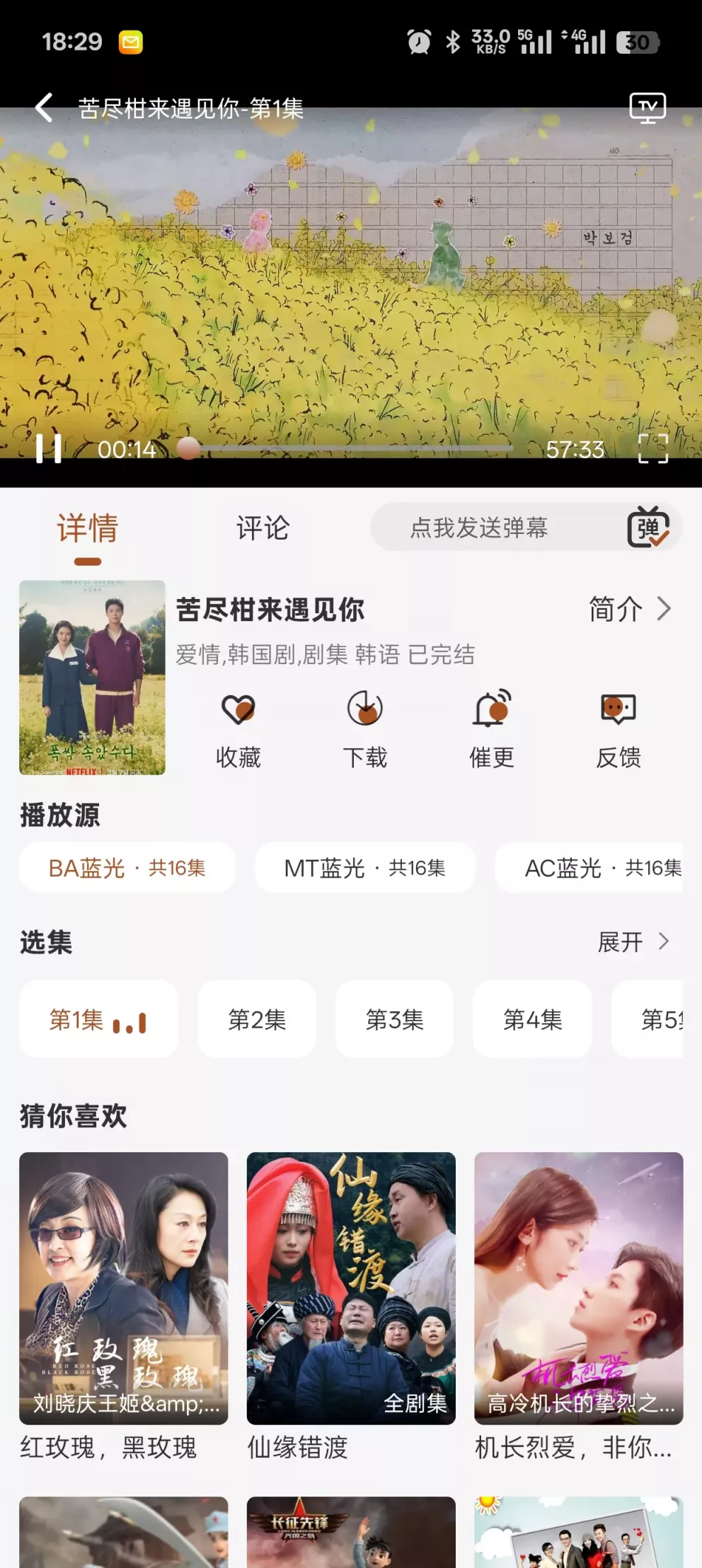 小熊猫影视