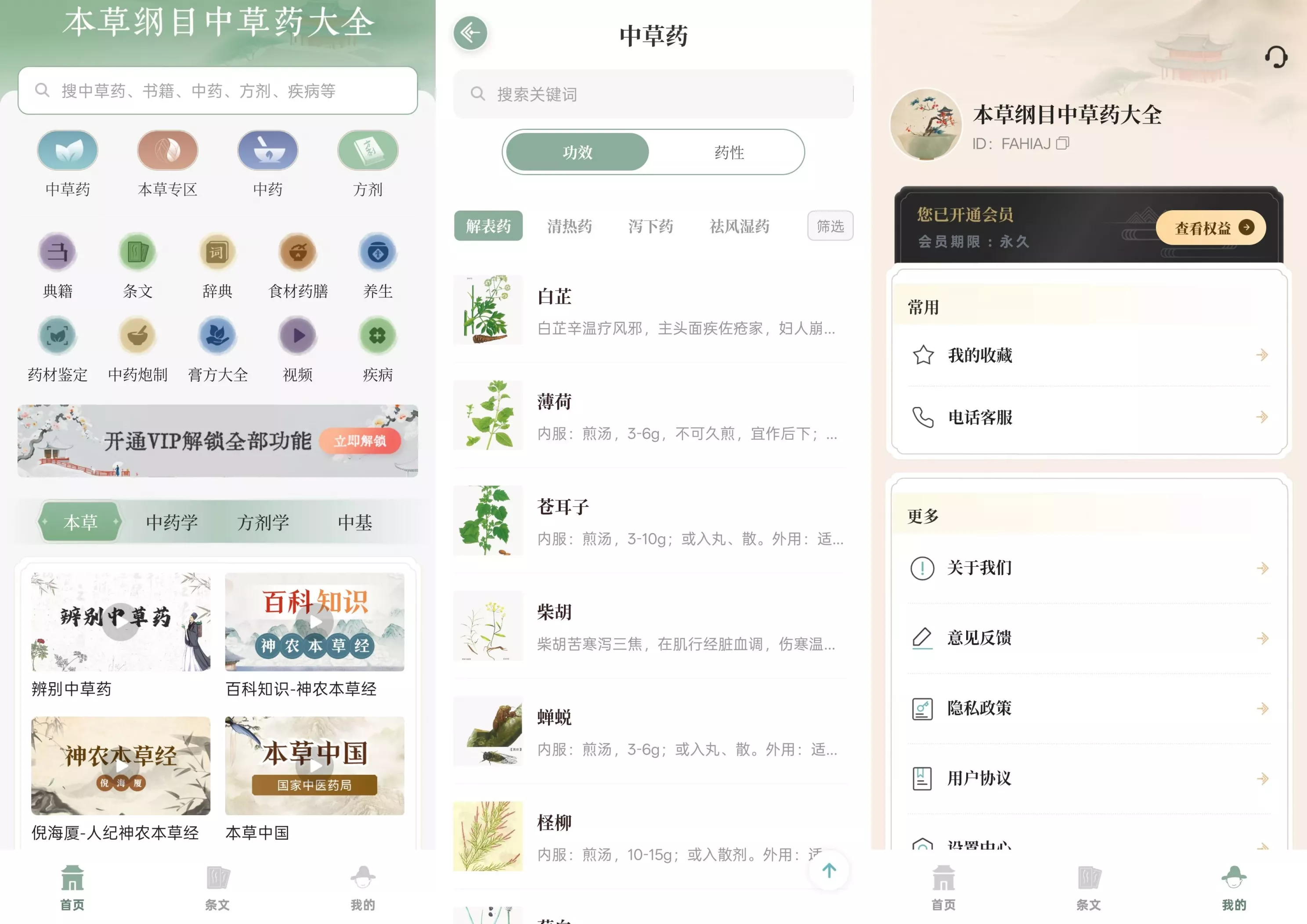 本草纲目中草药大全