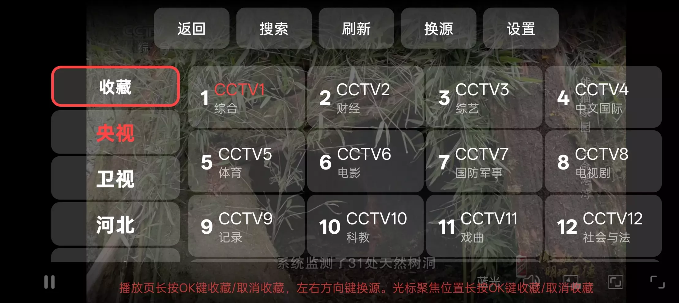 冬雨电视直播app